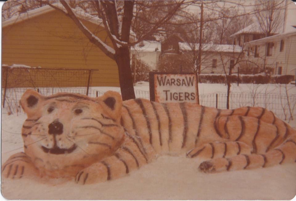 WARSAW tiger blizzard