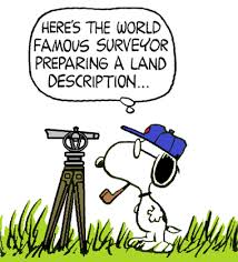 Snoopy Surveyor