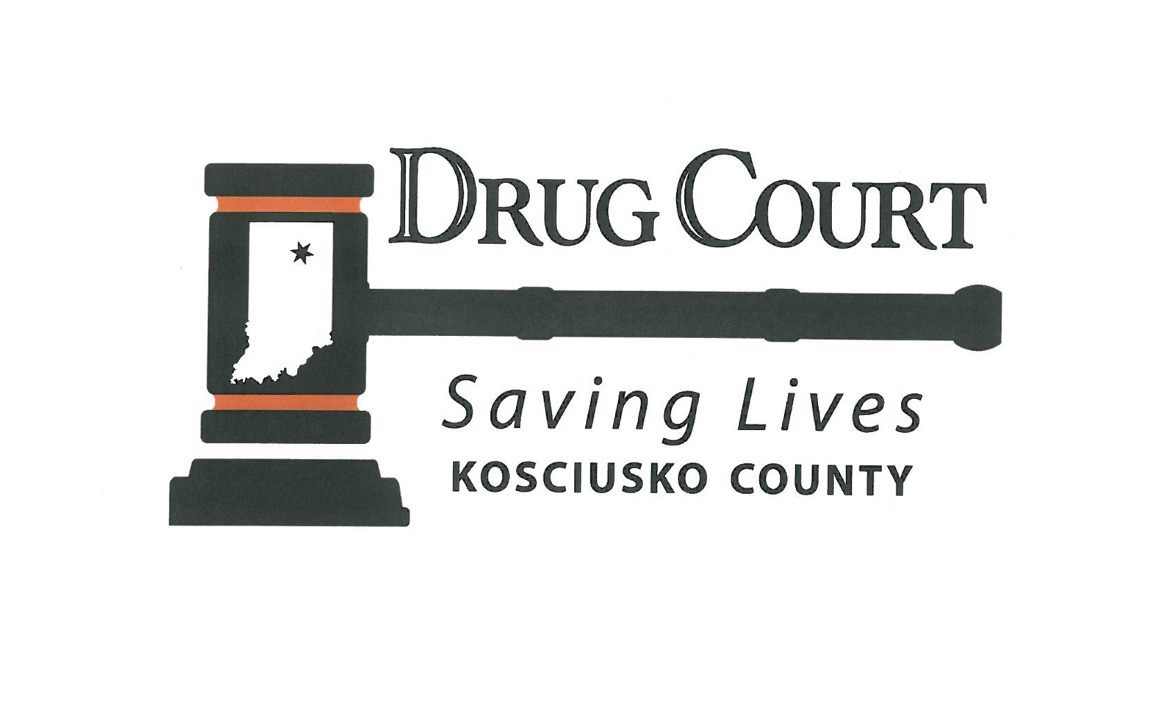 Drug Court Logo